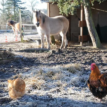 Apartmán Mirabellenhof - Kleine Mit Altstadtblick