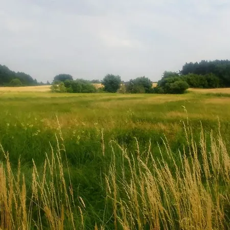 Mirabellenhof - Kleine Mit Altstadtblick Apartamento *