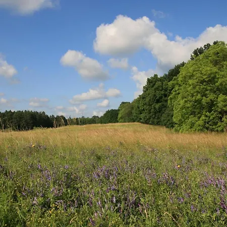Apartmán Mirabellenhof - Kleine Mit Altstadtblick Biesenthal