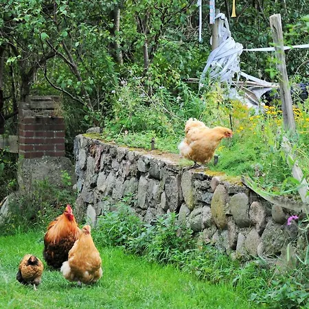 Mirabellenhof - Kleine Mit Altstadtblick Apartamento *