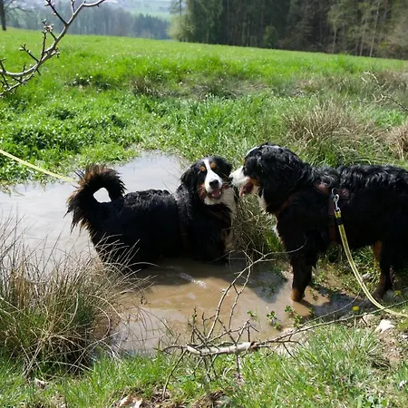 Apartamento Mirabellenhof - Kleine Mit Altstadtblick *