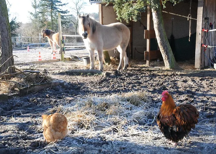 Apartamento Mirabellenhof - Kleine Mit Altstadtblick