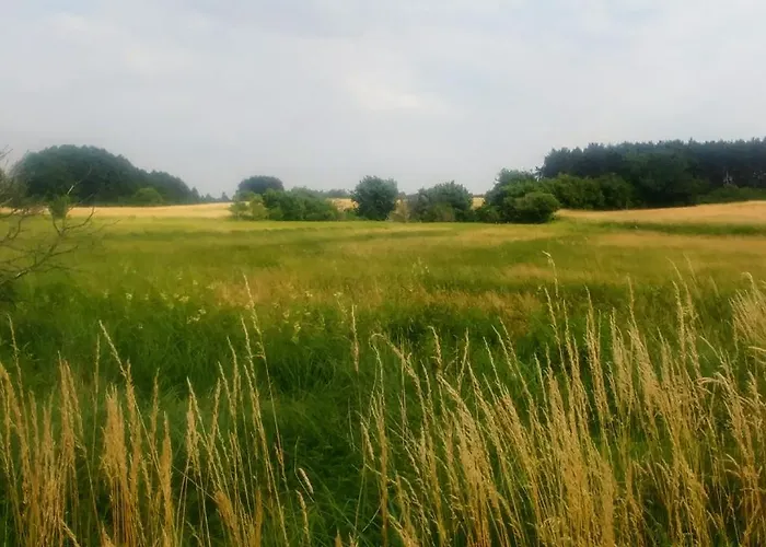 Mirabellenhof - Kleine Mit Altstadtblick Apartamento *