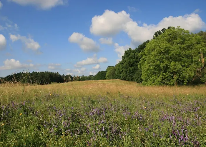Apartamento Mirabellenhof - Kleine Mit Altstadtblick Biesenthal