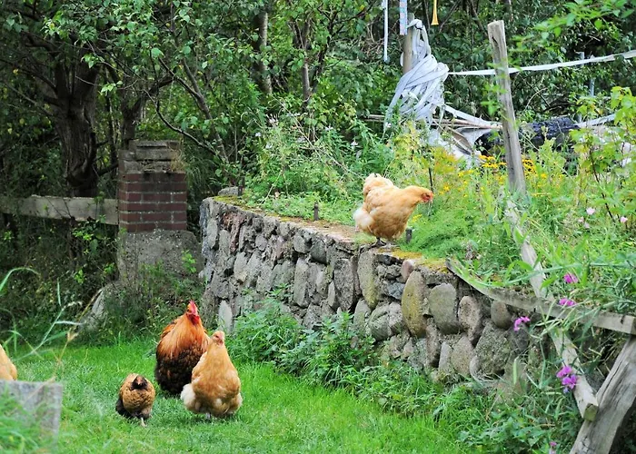 Mirabellenhof - Kleine Mit Altstadtblick Apartamento *