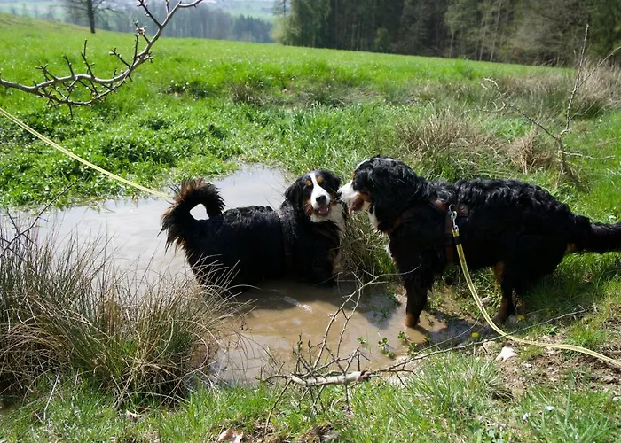 アパート Mirabellenhof - Kleine Mit Altstadtblick *